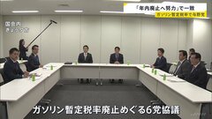 「年内廃止へ努力」で一致 ガソリンの暫定税率めぐり与野党6党 「来年1月」としていた自民党が野党に譲歩| TBS CROSS DIG with Bloomberg