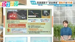 高速道路で“逆走事故”運転手は99歳 3年ごとに実施「認知機能検査」とは【ひるおび】|TBS NEWS DIG
