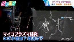 全国で感染拡大『マイコプラズマ肺炎』症状は風邪とどう違う？予防法は【ひるおび】|TBS NEWS DIG