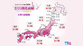 きょう15日（日）にもさくら開花か　高知からさくら前線スタート予想　日中は広範囲で穏やかな春の日に【きょうの天気】|TBS NEWS DIG