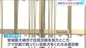 クマ被害きょう(25日)も相次ぐ 玄関先で60代住民女性が襲われけが 宮城・大衡村 飼い犬の柴犬くわえたままクマがやぶの中へ 宮城・大崎市|TBS NEWS DIG
