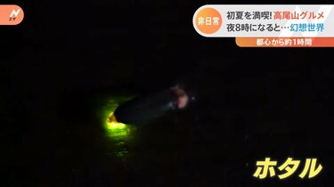 都心から1時間 名物とろろ料理 幻想的なホタルの光 で非日常の世界を堪能 初夏の高尾山 森林浴グルメ Tbs News Dig フォトギャラリー