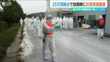 img_efd5c9a903496acc29e4998a3c