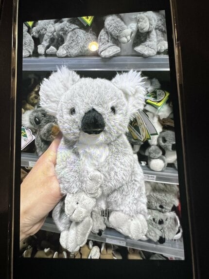 青いコアラ ぬいぐるみ 感謝の涙 青いコアラ ぬいぐるみ 感謝の涙 フラッグコアラ ぬいぐるみ 高