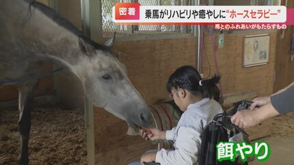 前ではなく横向きや後ろ向きで馬の背に 乗馬で癒しの効果も期待される