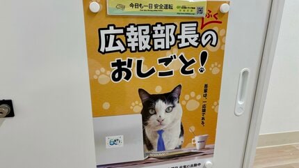 カラスに襲われ瀕死だった3本足の保護猫「ふくちゃん」今や広報部長に