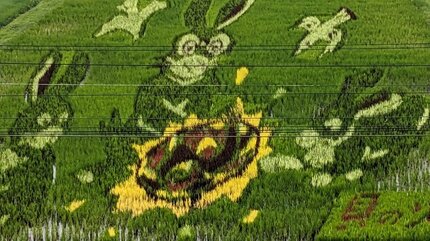 img_efb04e1aec4ab795261992e52d