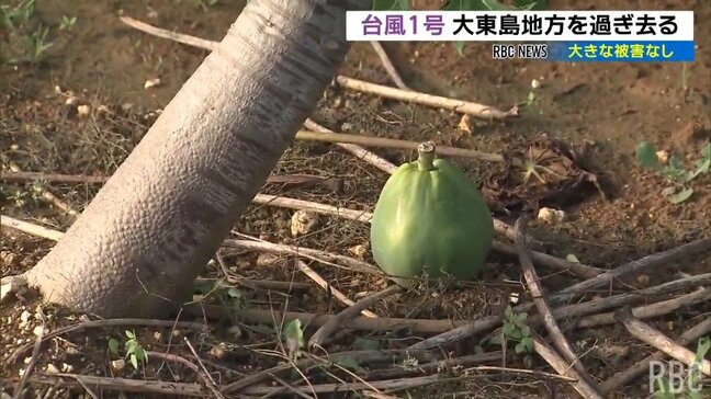 台風1号で6時間暴風警報の大東島 被害なし|TBS NEWS DIG