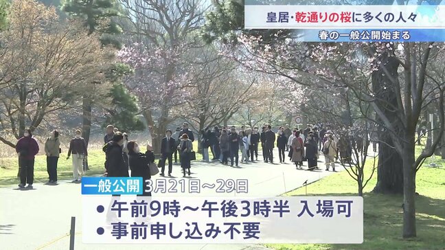 皇居･乾通り｢春の一般公開｣スタート 晴天のもと1.8万人が訪れる　ソメイヨシノやシダレザクラなど桜が約100本|TBS NEWS DIG