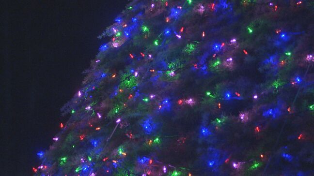 市民もクリスマスムード楽しむ アメリカ軍岩国基地 ツリー点灯|TBS NEWS DIG