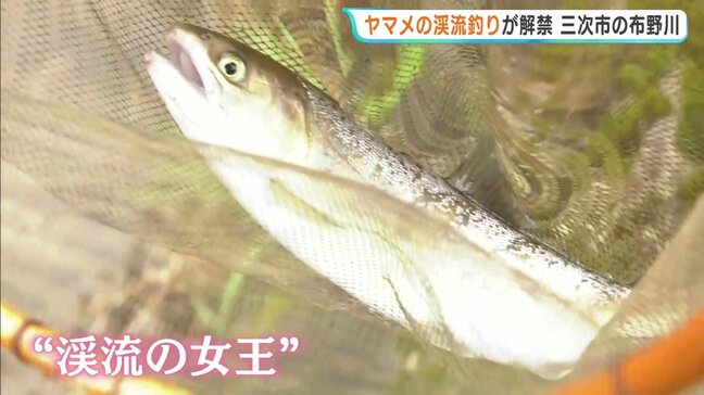 「渓流の女王」待望の解禁！広島・三次市でヤマメ釣りスタート　水温上昇を待ち1か月遅らせての開幕|TBS NEWS DIG