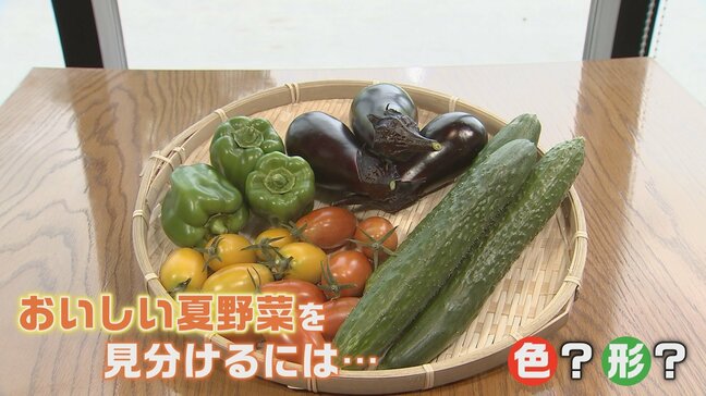プロ直伝!旬の夏野菜“新鮮でおいしい”の見分け方 ナスは「トゲトゲ」ピーマンは「へたがピン」トウモロコシは「ヒゲ」|TBS NEWS DIG