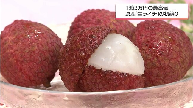 宮崎県産「生ライチ」の初競り　最高値は1箱9玉入り500gで3万円|TBS NEWS DIG