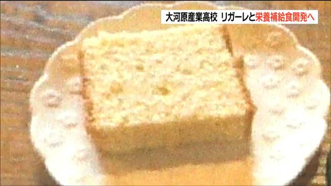 Vリーグ選手を「食」で応援　高校生“メープルシロップカステラ”をチームと共同開発　宮城・大河原町|TBS NEWS DIG