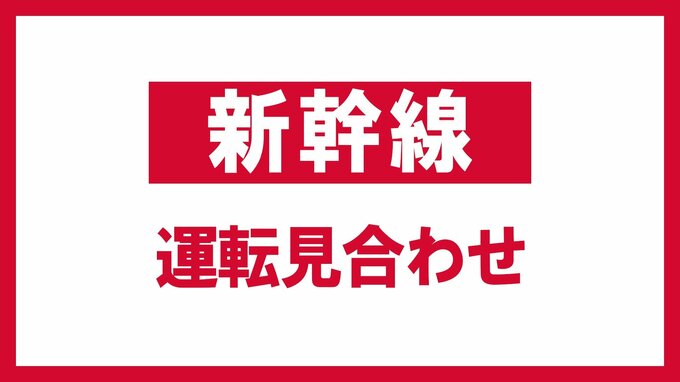 【運転見合わせ】東北新幹線　東京～仙台・上下線　車両点検のため　再開のめど立たず【17日午後0時20分更新】|TBS NEWS DIG