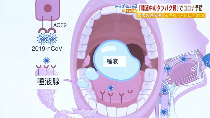コロナ感染を防ぐ鍵は「唾液中のタンパク質」！？大阪公立大学大学院の准教授ら発表|TBS NEWS DIG