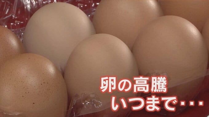 卵の高騰が止まらない　プリンでグランプリ1位のレストランは苦渋の決断　|　山梨のニュース | ＵＴＹテレビ山梨
