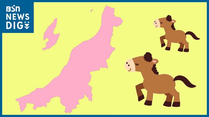 午年生まれは16万2400人 最多は昭和29年生まれ(72歳)　新潟県　|　新潟のニュース・天気｜BSN NEWS｜BSN新潟放送