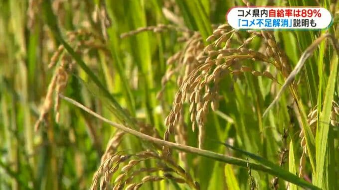 「コメ不足」解消も県内生産量 消費量を下回る見込み|TBS NEWS DIG