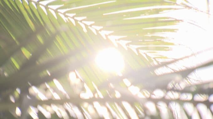 【沖縄の天気】今後2週間は気温高く　最高気温30℃の日が続く　気象台が「高温に関する早期天候情報」　|　沖縄のニュース｜RBC 琉球放送