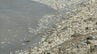 川で大量の魚が死ぬ　エサを求めて群れが過密化し酸欠・窒息死か　臭いも発生　北九州市若松区　|　福岡のニュース｜RKB NEWS｜RKB毎日放送