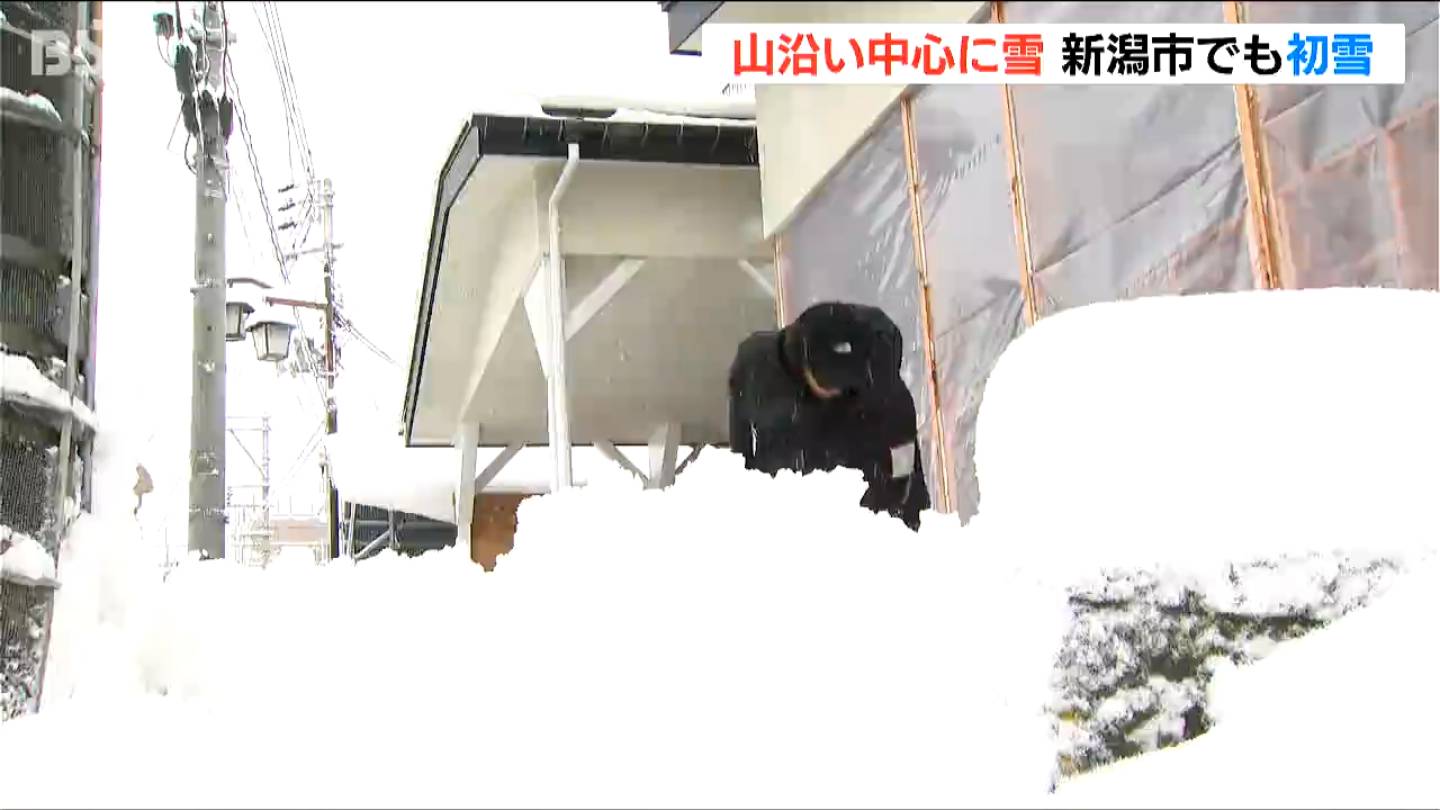 初雪 寒波襲来 新潟県内は山沿いを中心に雪 湯沢町では18cm 新潟市でも3日夜