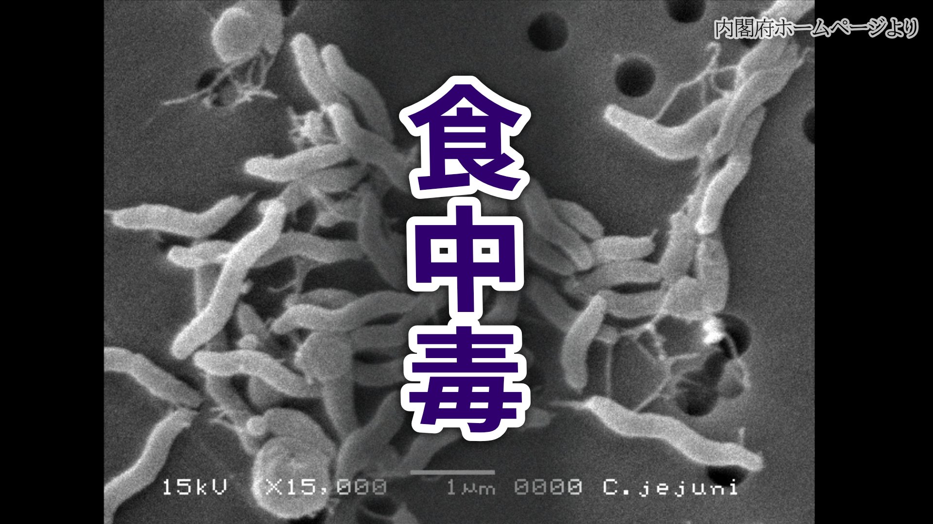 尾道市の飲食店で食中毒 店を営業禁止処分に 広島・東部保健所 | RCC