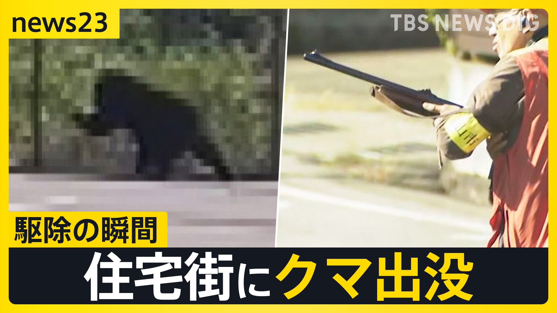 一直線に突進するように、まさかここまで」盛岡の官庁街にクマ出没で