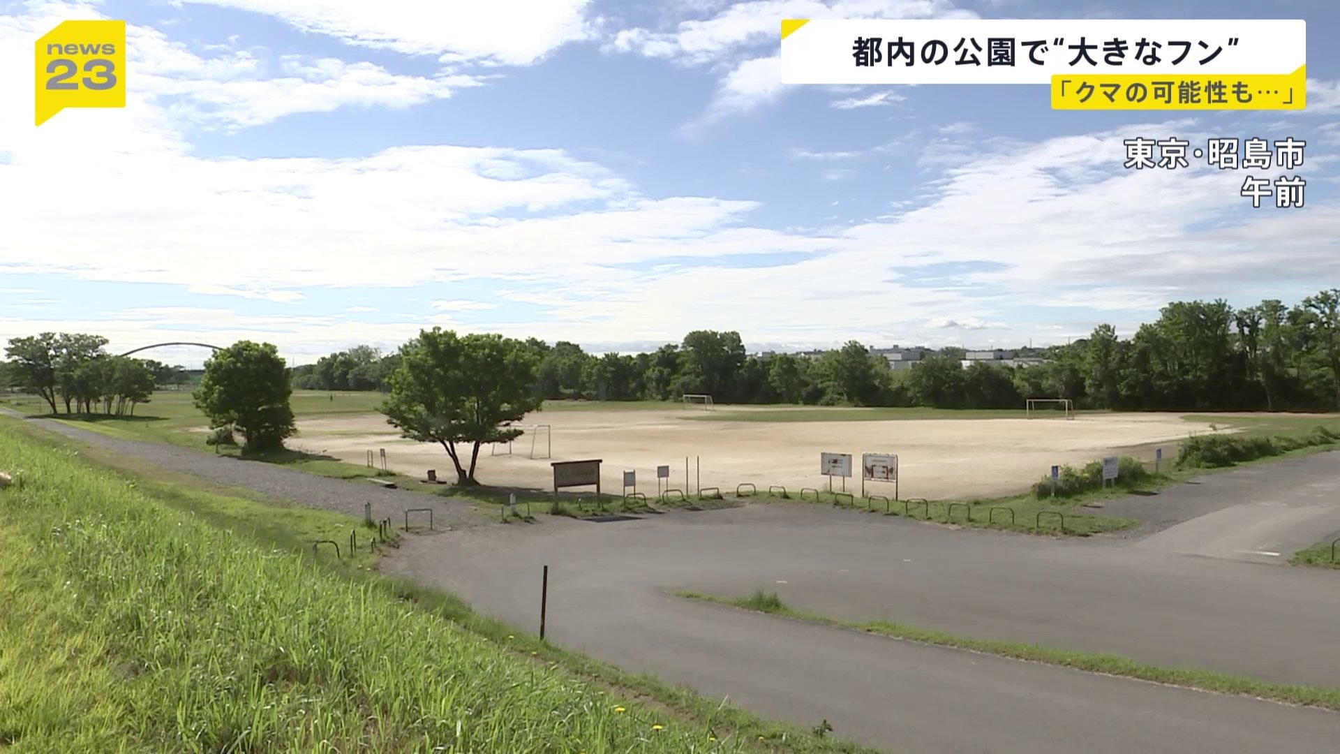 昭島市 クマ