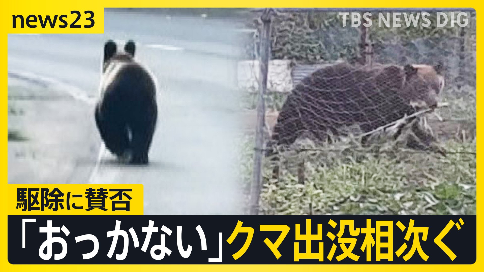 相次ぐクマ出没！今年度すでに全国55人が被害 “おっかない”住民からは