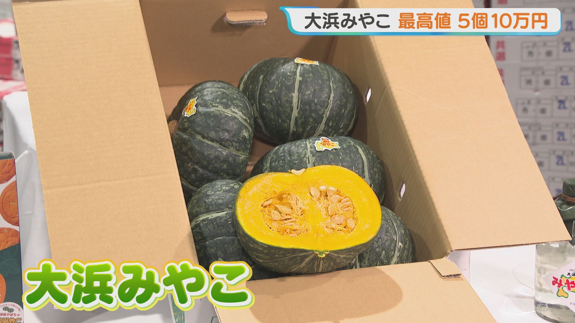札幌特産のブランドカボチャ「大浜みやこ」の初競り 2021年に並んで