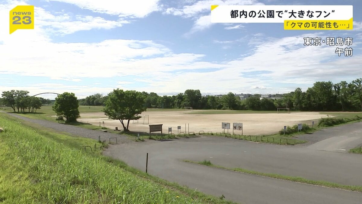 昭島市 クマ