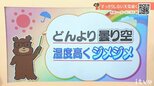 28日(木)はどんより曇り空 湿度高くジメジメ 愛媛|TBS NEWS DIG