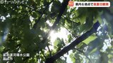 県内6地点で真夏日 秋ヶ島で31.3℃ 30日は富山・高岡市伏木ともに34℃予想 熱中症に注意 | 富山のニュース|天気・防災|チューリップテレビ