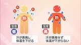 日ざしの少ない梅雨ですが･･･高まる熱中症のリスクにご用心　医師に聞く原因と対策|TBS NEWS DIG
