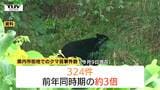 【クマ】市街地での目撃件数が去年の3倍に 要因の一つは"情報共有アプリ"の活用 8月以降は増加傾向…引き続きクマ出没に注意(山形) | 山形のニュース│TUYテレビユー山形