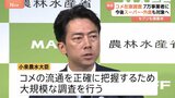 「実際にはどれだけのコメが世の中に」 小泉大臣 約7万事業者のコメ在庫を調査 今後はスーパーや外食も対象へ　セブン-イレブンも備蓄米販売|TBS NEWS DIG