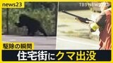 「一直線に突進するように、まさかここまで」盛岡の官庁街にクマ出没で騒然　富山では小学校近くにクマが…駆除の瞬間【news23】|TBS NEWS DIG