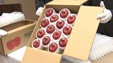 献上りんご箱詰め作業 「ふじ」「はるか」2つの品種合わせておよそ120キロ 盛岡市 | IBC NEWS | IBC岩手放送