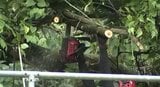 JR中央西線 南木曽駅~上松駅間 倒木の影響で運転見合わせ続く | SBC NEWS | 長野のニュース | SBC信越放送