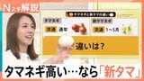 タマネギは高いけど…新タマネギはお買い得！「タマネギ」と「新タマ」の違いは？【Nスタ解説】|TBS NEWS DIG