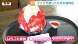 【動画】期間限定!国内外のかき氷を食べ歩いた“ゴーラー”店主のかき氷専門店がオープン 並々ならぬ愛が生んだメニューに注目!(山形・上山市)|TBS NEWS DIG