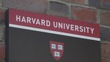 ハーバード大「受け入れ継続できるよう全力尽くす」 トランプ政権が留学生受け入れ停止|TBS NEWS DIG
