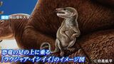 ゴビ砂漠で発見された化石は新たな哺乳類と判明 岡山理科大学とモンゴル科学アカデミー古生物学研究所が2019年に発掘【岡山】|TBS NEWS DIG