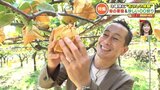 とれたては『甘い!』旬の「梨狩り」&珍しい「ピーマン狩り」で3連休においしい体験を | 熊本のニュース|RKK NEWS|RKK熊本放送