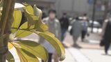 インフルエンザ患者数 大分県内で4週間ぶり増加 | 大分のニュース|OBS NEWS|大分放送