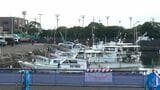 鹿児島市の谷山漁港に男性の遺体　鹿児島南署|TBS NEWS DIG