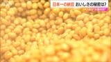 2月3日は『大豆の日』“日本一”の大粒白糸納豆は「おつまみにする方も結構いらっしゃるみたいです」新潟市|TBS NEWS DIG