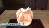 暑くなると食べたくなる「かき氷」に大行列！千葉県・香取市佐原では「かき氷の新聖地」を目指して町おこし　地元の食材を使ったかき氷に舌鼓！|TBS NEWS DIG