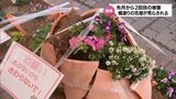 去年12月から2回目の被害　宮崎市橘通りの花壇が荒らされる　市民「花もかわいそうだし、なんでこんなことをするのか」|TBS NEWS DIG